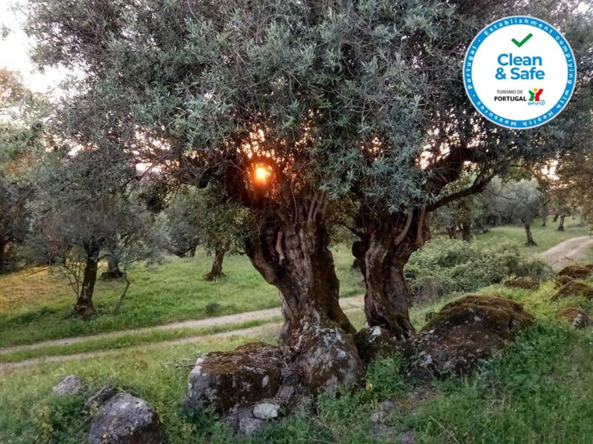 Convento Da Provenca Ξενοδοχείο Portalegre Εξωτερικό φωτογραφία
