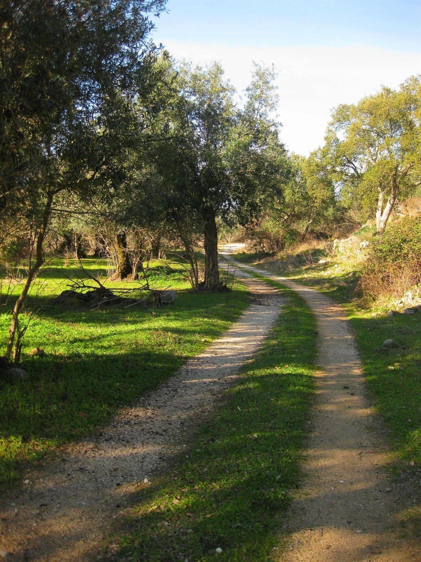 Convento Da Provenca Ξενοδοχείο Portalegre Εξωτερικό φωτογραφία